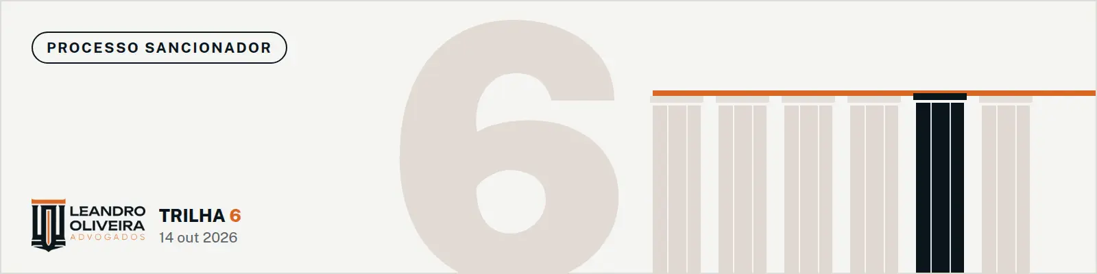 Capa do artigo: Fato novo e provas complementares no PAR
